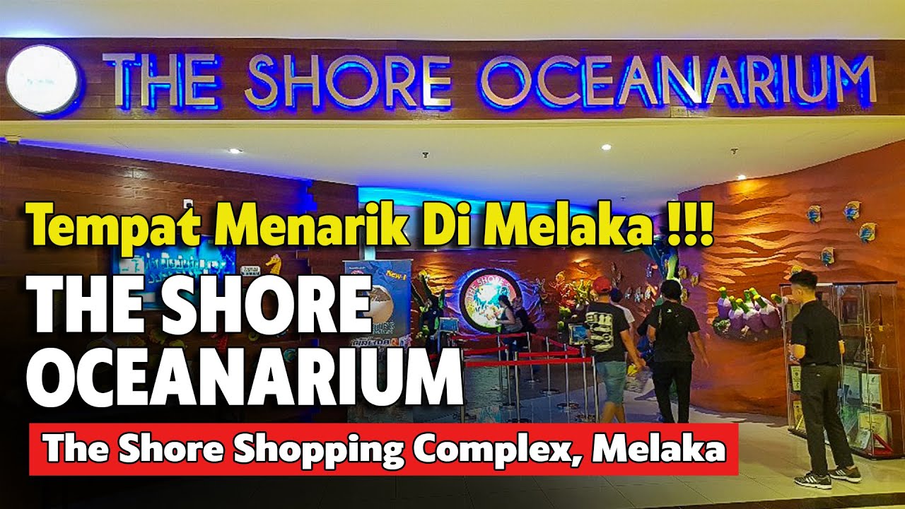 THE SHORE OCEANARIUM | TEMPAT WAJIB SINGGAH DI MELAKA | TEMPAT MENARIK DI MELAKA