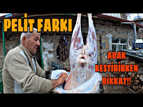 ADAK KURBAN KESERKEN NELERE DİKKAT ETMELİYİZ(İÇ ORĞANLAR YAĞ BAĞLAMIŞ PELİT FARKI)