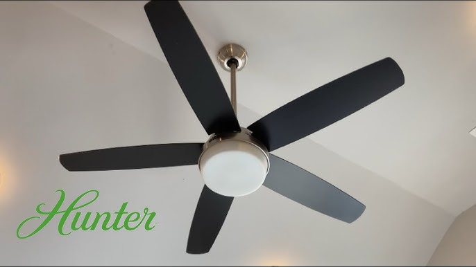 Hunter Avia Ceiling Fan Model 59234 | Shelly Lighting