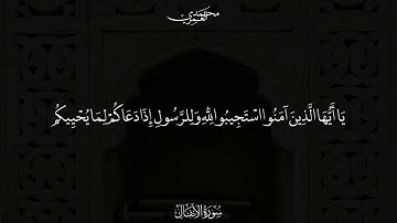تلاوة من سورة الأنفال الشيخ محمد بن علي العمري