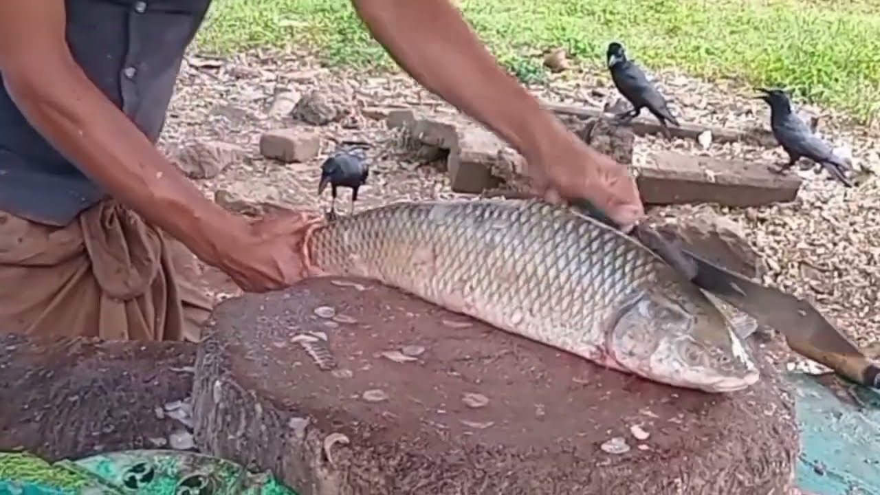 Big Rohu fish Cutting and skinning chopping  by expert fish cutter 2026