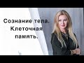 Сознание тела. Клеточная память.