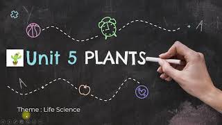 SCIENCE YEAR 2-UNIT 5 PLANTS (BASIC NEEDS FOR SEEDS TO GERMINATE) |CikguSHMY