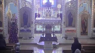 Divine Liturgy - November 29, 2020