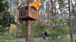 картинка: ЧТО СЛУЧИЛОСЬ С ДОМОМ НА ДЕРЕВЕ?