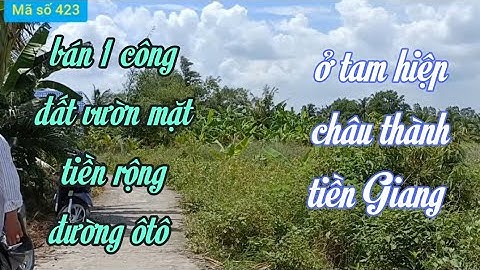 Bán 1 công đất vườn đường ôtô giá 1,4 tỷ ở tam hiệp châu thành tiền Giang @ms423