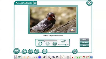 EXCEL Grade 8 Module 6e ex 1 video