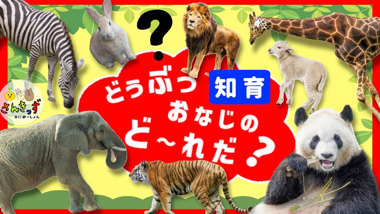 知育 動物アニメ】どうぶつクイズに挑戦☆動物園の動物たちが8種類が