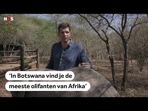 Video: Botswana wordt het nieuwste Afrikaanse land om eVisa's voor toeristen aan te bieden