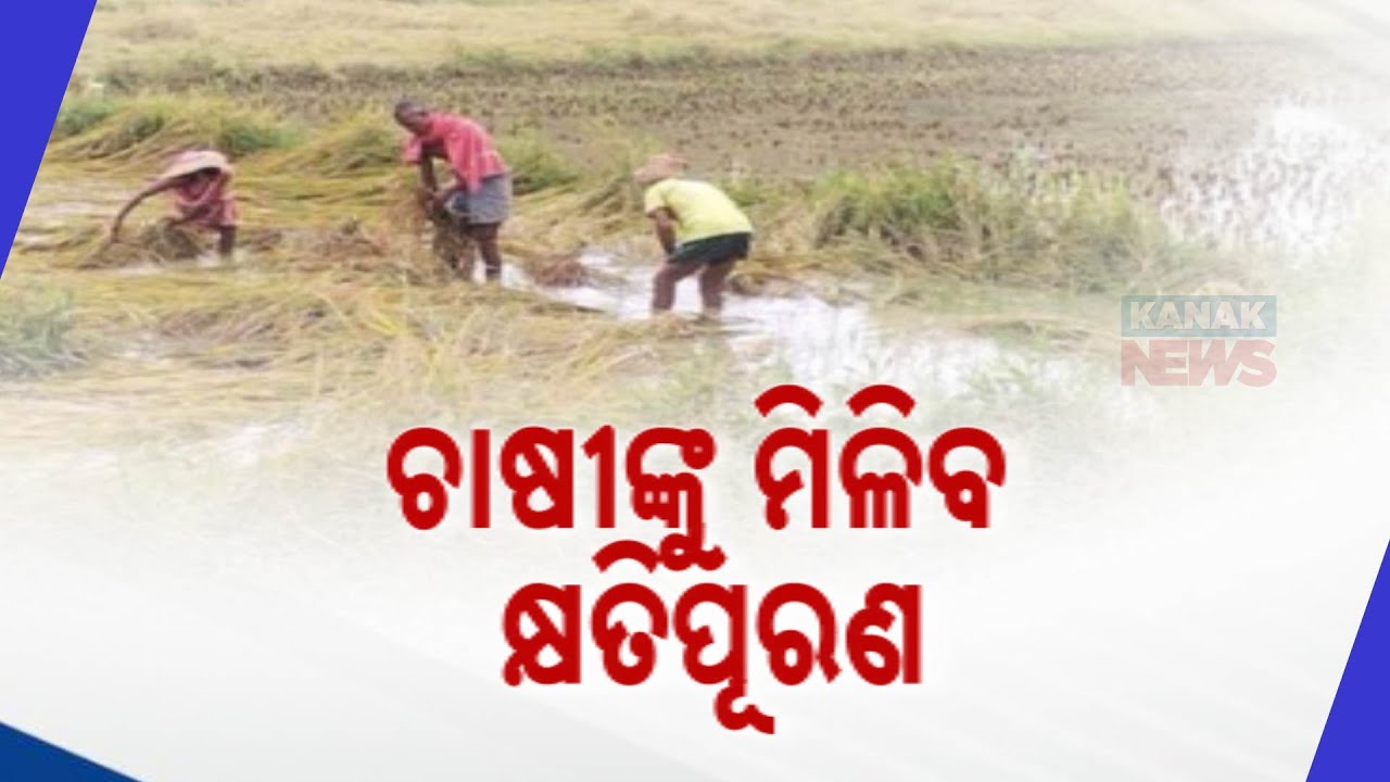 Crop Loss Due To Heavy Rain | Farmers Advised To Report Within 72 Hours ...