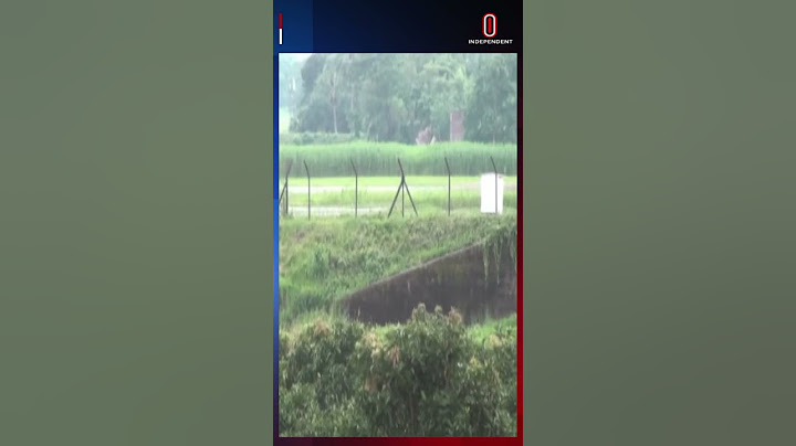চাঁপাইনবাবগঞ্জের সীমান্তে আবারও বিএসএফের গু\লি\তে এক বাংলাদেশি আ\হ\ত | Independent TV