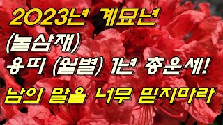 2023년 계묘년 (눌삼재)용띠 (월별)1년 총운세!