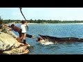 10 Shocking Fishing Moments Caught On Camera!