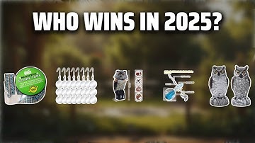 The Top 5 Best Bird Deterrents in 2025 - Must Watch Before Buying!