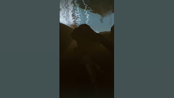 Diving Through the Hollow Log in the River | The Isle Evrima  Update 7 Stress Test #shorts