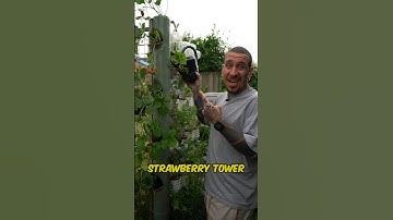 DIY Strawberry tower #shorts
