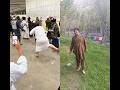 Masha,Allah makkah live madina live #makkah #madina #shorts #hajjlive #shortvideo #mecca lqbr