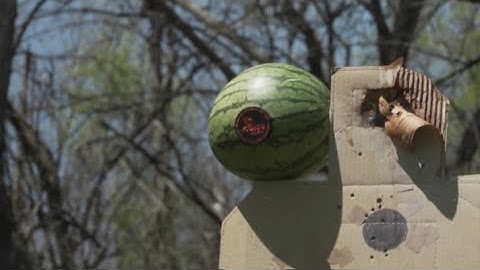 Firebird 50 BIO Target on GunStuff TV