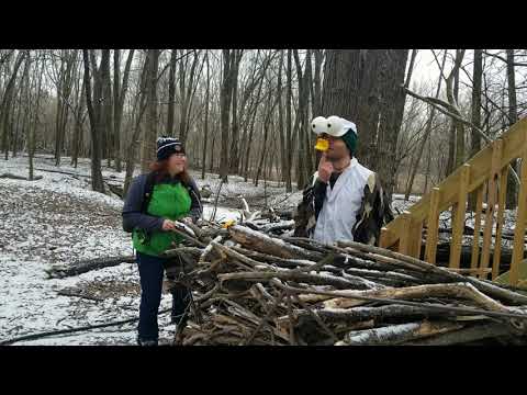Hanging with Heckrodt: Owls