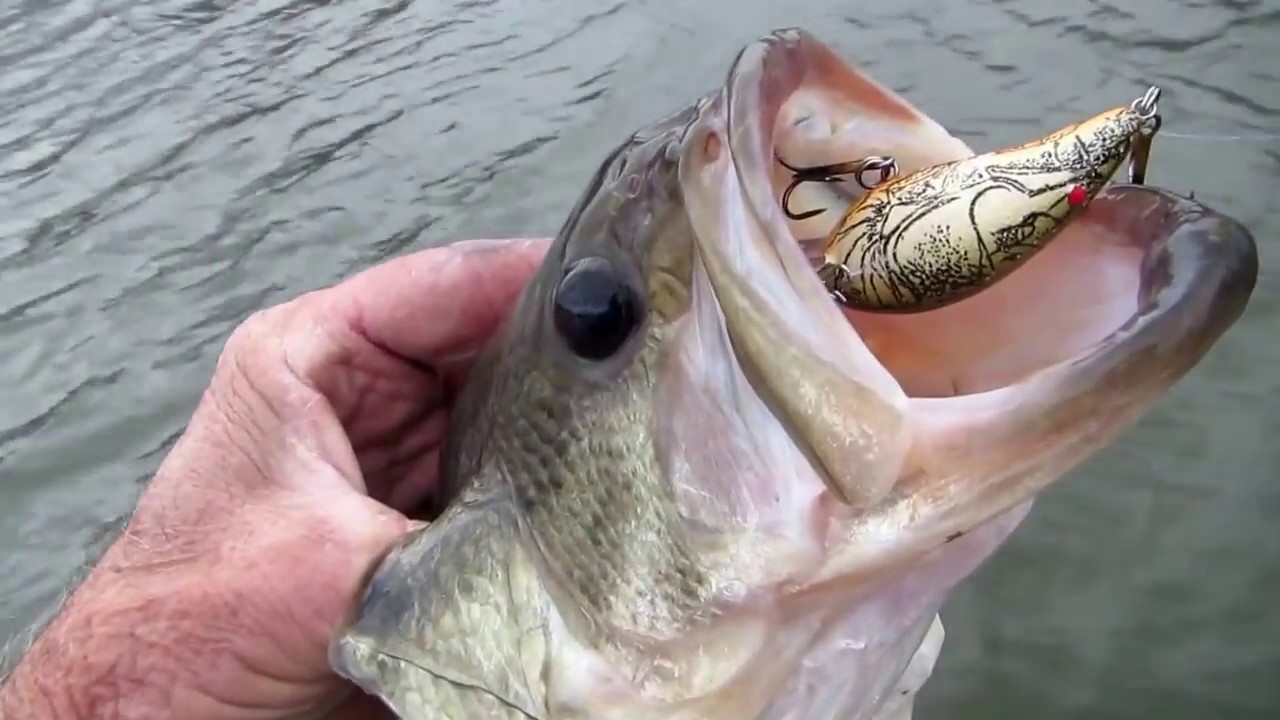 FISH4FUN WINDY WEATHER BASS FISHING YouTube