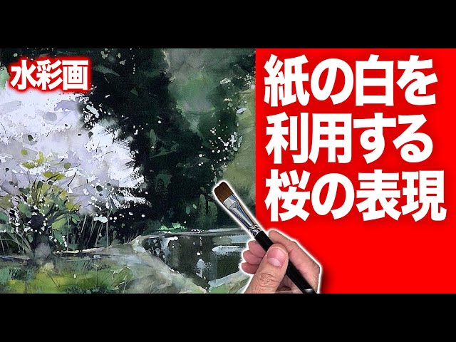 白いカラー　水彩画 mqdefault.jpg