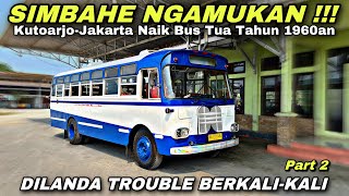 SIMBAHE NGAMUKAN ❗ Bus Tua Dilanda Trouble Berkali Kali ❗| trip SUMBER ALAM  Nissan Fuji Coach