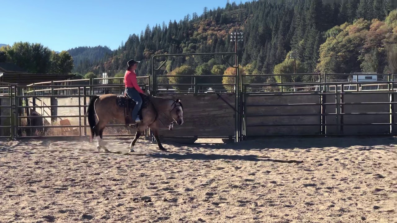 WCRH Online Series #2: Sierra Schulze and FRC Play N For Valor; Ranch Rail