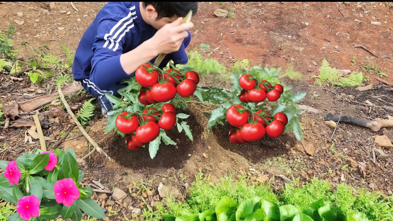 What do I do in a day in the garden? 