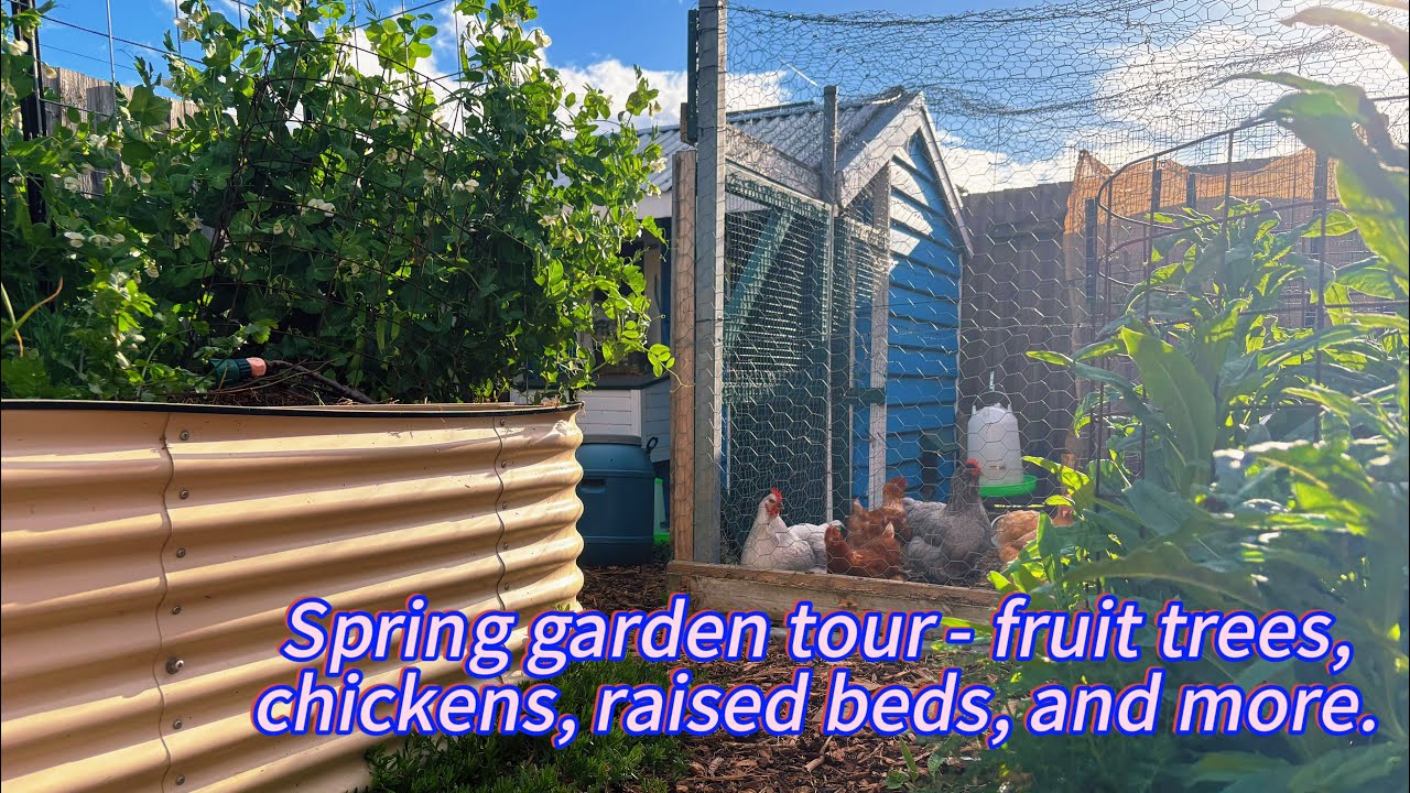 Relaxing spring garden tour - Melbourne, Australia 