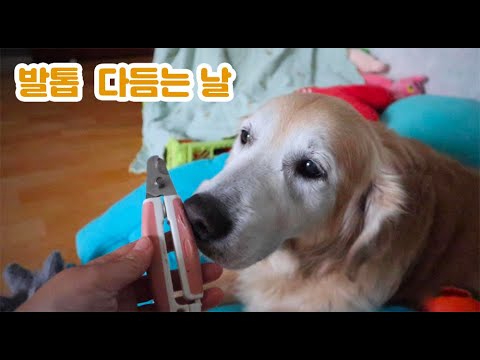 발톱 물어 뜯다가 걸려버렸다 🙄 <strong>Didi</strong> got caught while chewing her nail
