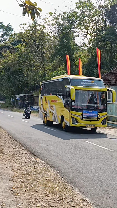 Twin Jaya Trans #telolet #automobile #busmania #basuri #tourismbus #enterhome #shorts #bus