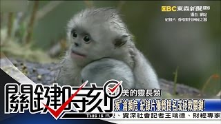 關鍵時刻 20161227節目播出版（有字幕）