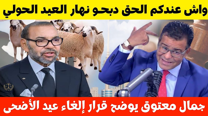 جمال معتوق: واش عندنا الحق ندبــحو الحولي نهار العيد؟ بعد قرار إلغاء شعيرة عيد الأضحى