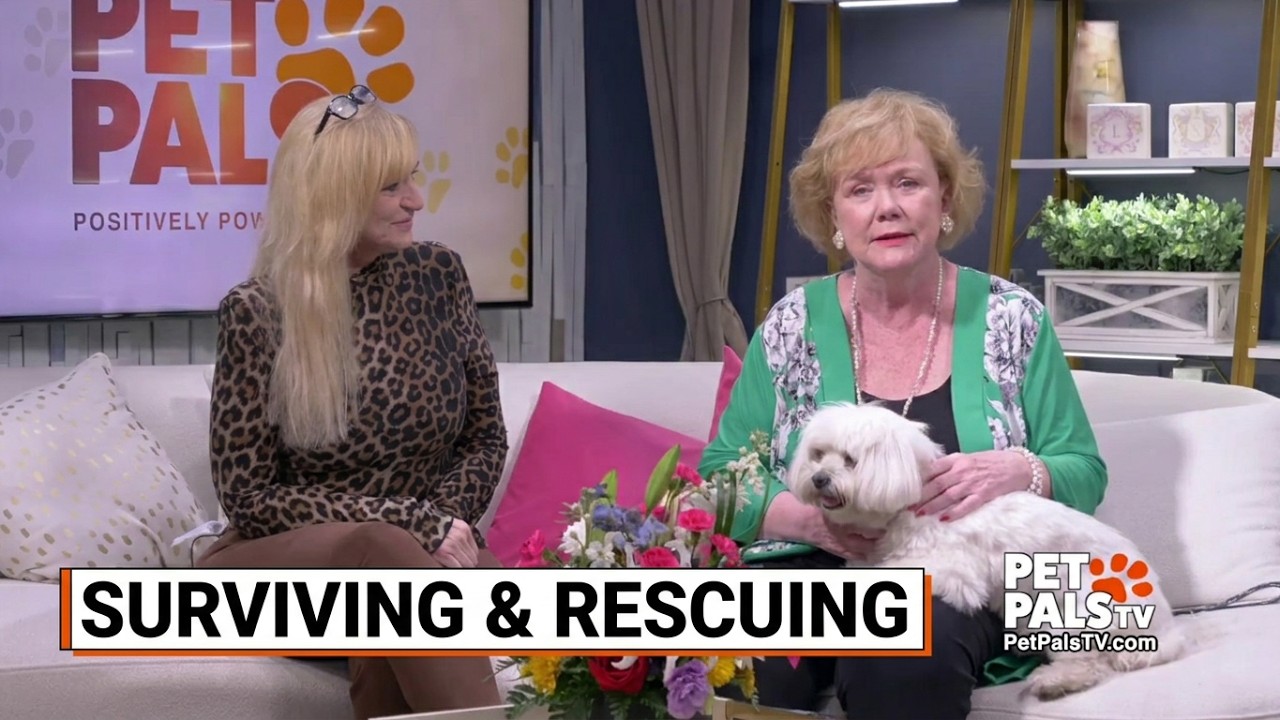 FULL SHOW: Keeping pets healthy, Gadget Guy, pit bull awareness and Pamela’s health update
