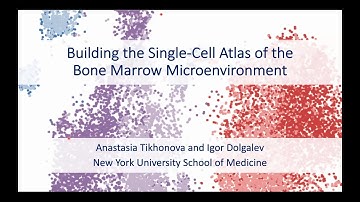 BioTuring Single-cell Webinar: Building the single-cell atlas of bone marrow microenvironment