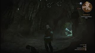 The Witcher 3 shadow bug