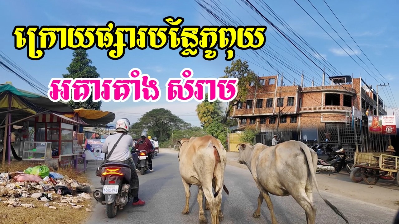 ខាងក្រោយផ្សារបន្លែភូពុយមានអគារបុរីសំរាមផ្លូវស្អាតល្អនឹងផ្លូវលំវាលស្រែគម្រោងផ្ទះជាប់គាំងជាច្រើន