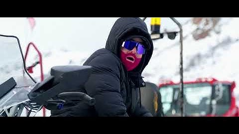 Perro Primo, DT.Bilardo - Frio ( Video Oficial) Reggae 420