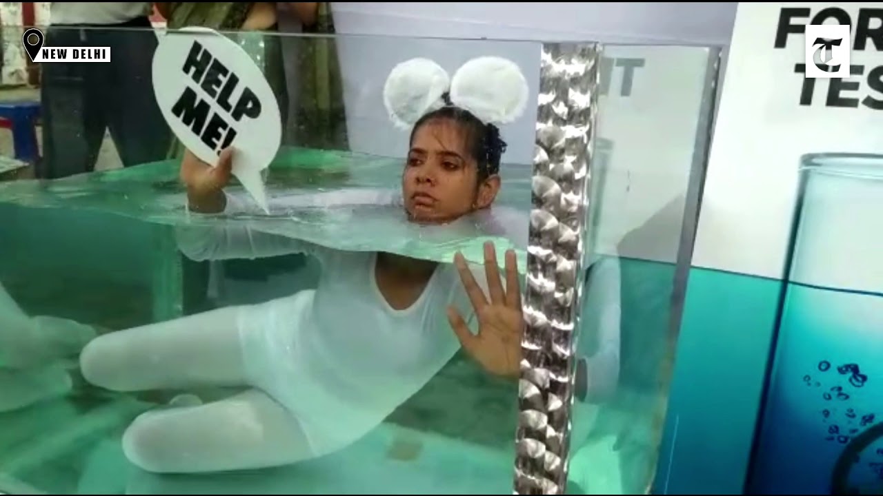 the tribune philippines PETA activist protests against forced test on rodents in New Delhi