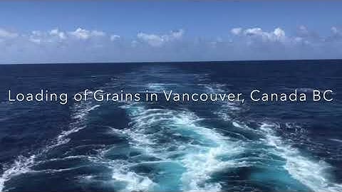 Loading Grains in AGT Terminal Vancouver, Canada | RTV