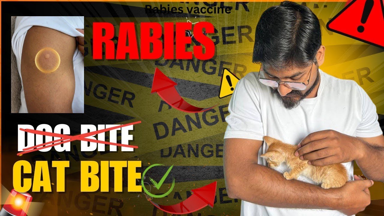 RABIES Explained!! by Anmol Sir| How Cat bite can kills😳#education # ...