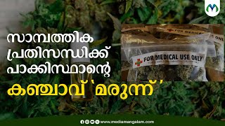 കഞ്ചാവ് കൃഷി നിയമവിധേയമാക്കാൻ പാകിസ്ഥാൻ | Economic Crisis  | Pakistan