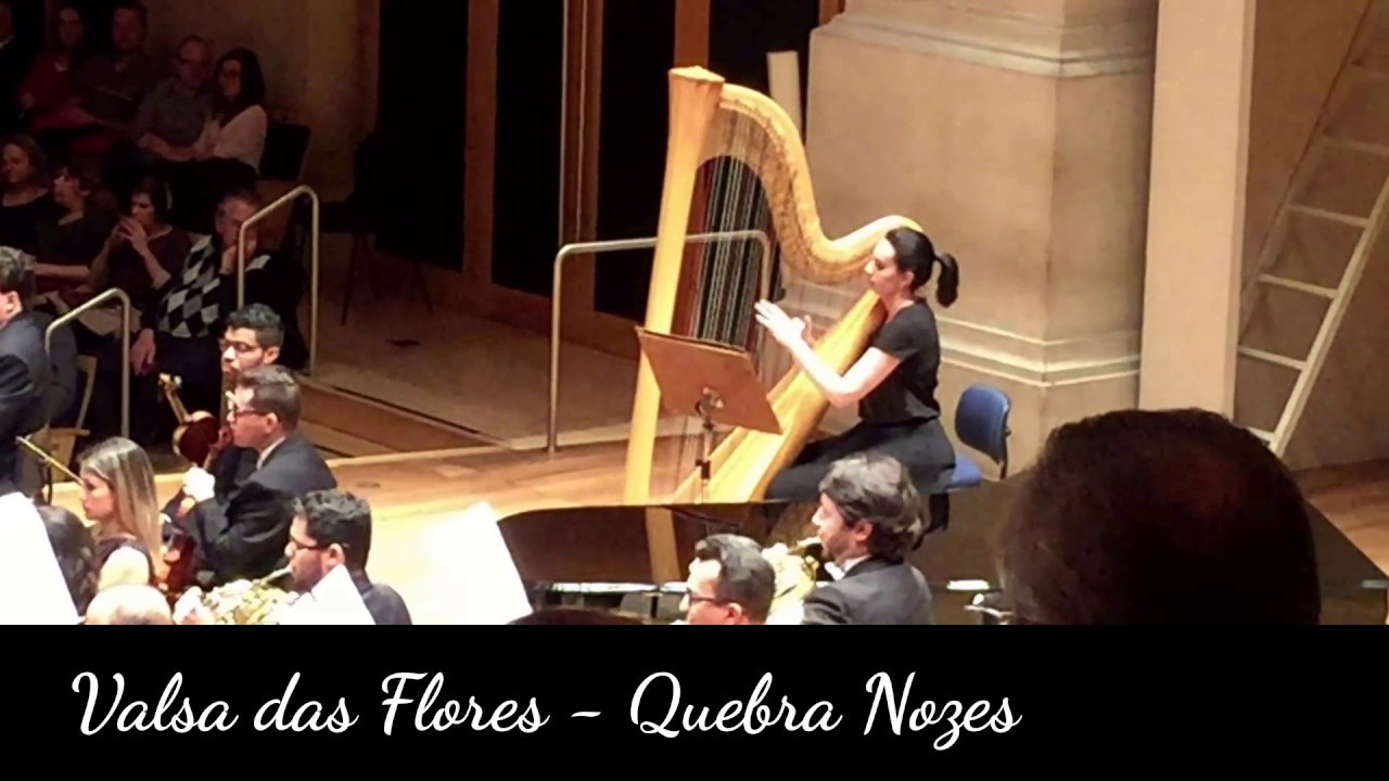 Tchaikovsky Valsa Das Flores Mp3 Tchaikovsky Valsa Das Flores Mp3