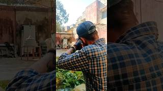 Air gun target🎯practice | perfect Aim🎯 short 💥💪🫡#youtubeshorts #shortvideo #shootingairrifles