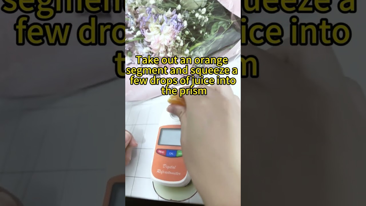 How high is Sugar Orange’s brix?