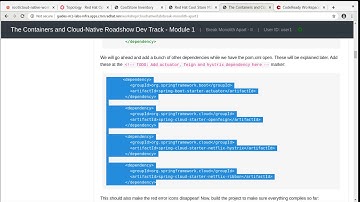 The Containers and Cloud-Native Roadshow Dev Track - Module 1 - 08
