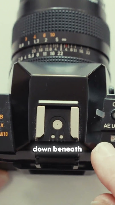 Uncover the Secrets of the Contax 137MD: A Photographer's Dream! #filmphotography #film #contax