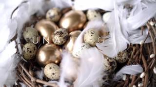 Easter video for WEB