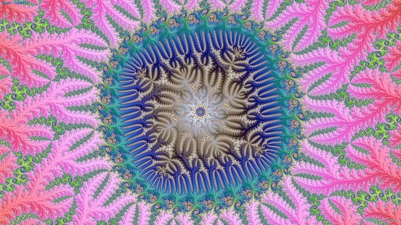 Circular Tree - Mandelbrot Zoom - YouTube