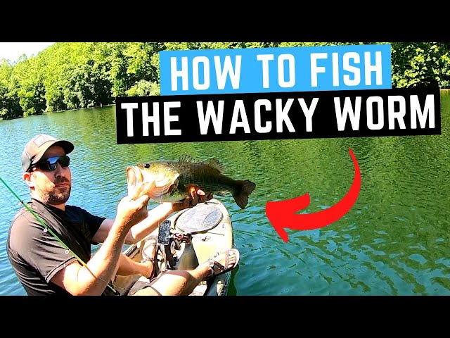 How to Fish The Wacky Worm / Wacky Rig Bass Fishing 